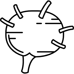 lymphonodus icono