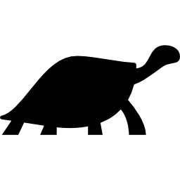 tortuga mirando a la derecha icono