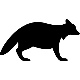 Raccoon Facing Right icon
