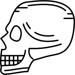 widok z boku czaszki ikona