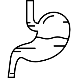 Stomach with Liquids icon