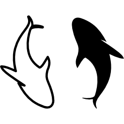 twee dolfijnen icoon