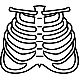 menselijke ribben icoon