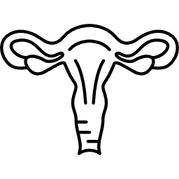menschlicher uterus icon