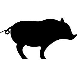 Pig Facing Right icon