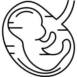 feto humano icono