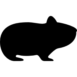 Hamster Facing Right icon