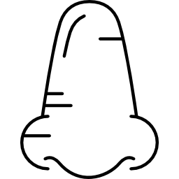 nariz grande icono