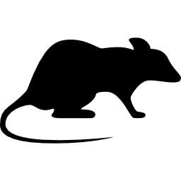 rat regardant à droite Icône