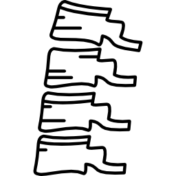 osso della colonna vertebrale icona