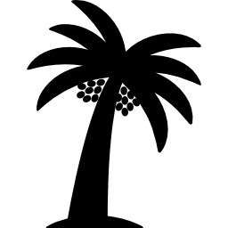 palmboom met datum icoon