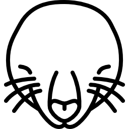 maulwurfskopf icon