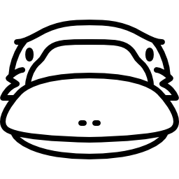 오리너구리 머리 icon