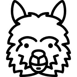 lama head icon