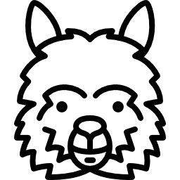 Lama Head icon
