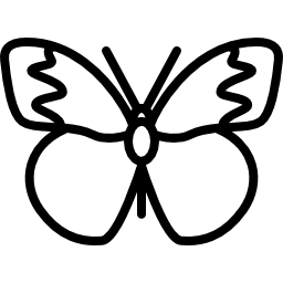 mariposa con alas grandes icono