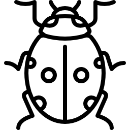 Big Ladybug icon