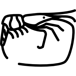 camarão grande Ícone