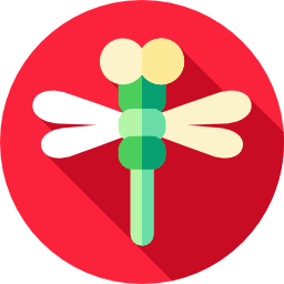 Dragonfly icon