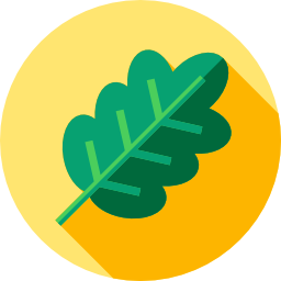 Leaf icon