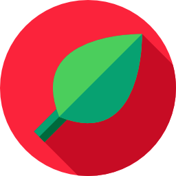 Leaf icon