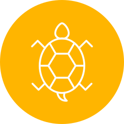 Turtle icon