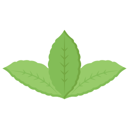 zielony liść ikona
