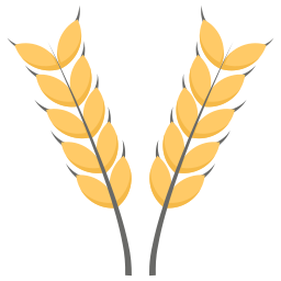 Wheat grains icon