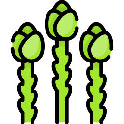アスパラガス icon