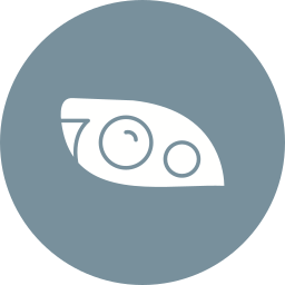 Headlight icon