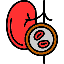 Kidney icon