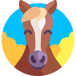 pferd icon