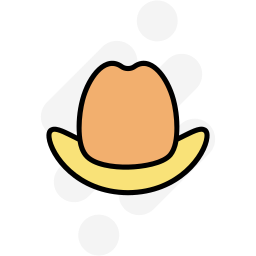 Cowboy hat icon