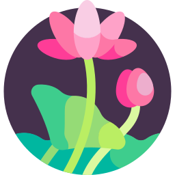 Lotus icon