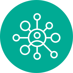 Network icon