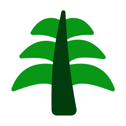 folha de palmeira Ícone