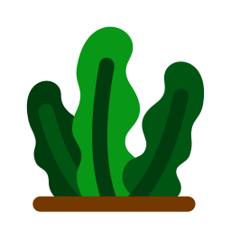 algue Icône