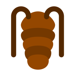 trilobiet icoon
