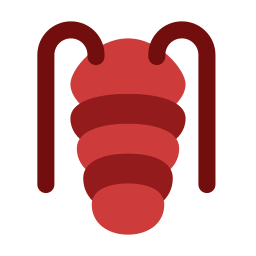 trilobite Icône