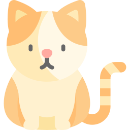 Экзотическая короткошерстная кошка иконка