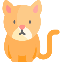 Abyssinian icon