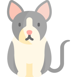 gatto della cornovaglia icona