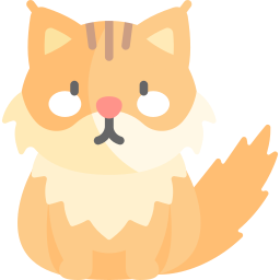 Maine coon icon