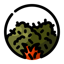 busch icon