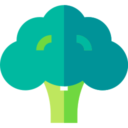 Broccoli icon