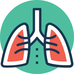 Human Lungs icon