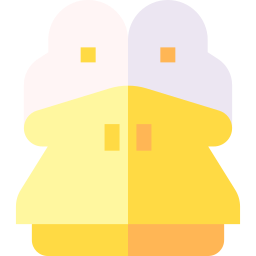 Duck icon