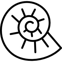 ammonito icona