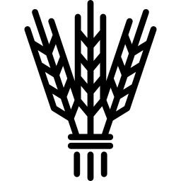 israel cebada icono