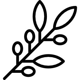 rama de olivo icono